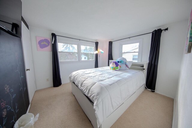 2607 King James Way, Fitchburg, WI 53719 - bedroom with light carpet
