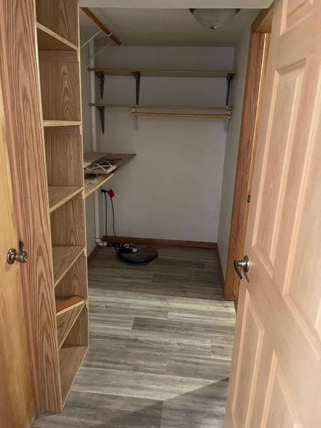 spacious closet with wood finished floors