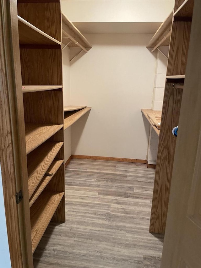 spacious closet featuring wood finished floors
