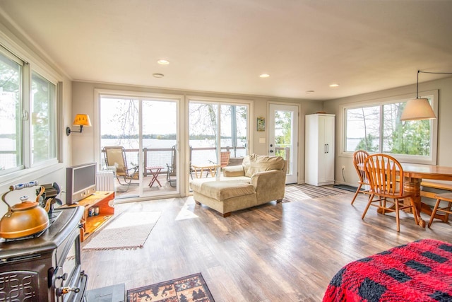living room featuring a healthy amount of sunlight, recessed lighting, and wood finished floors