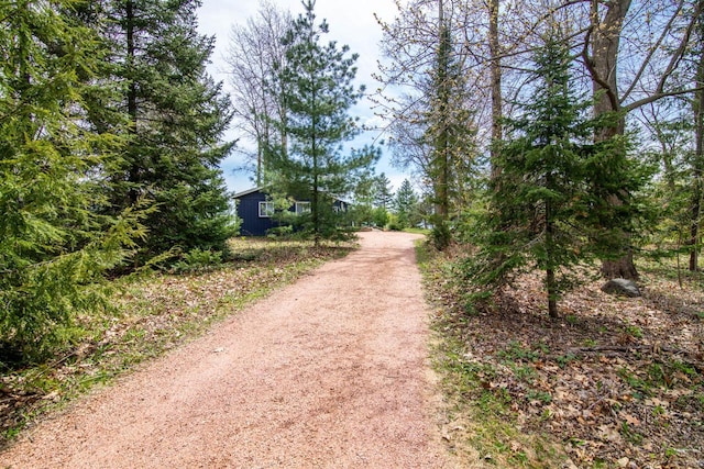 view of street with dirt driveway