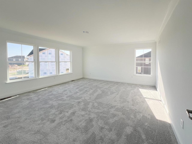 4003 Banbury St, Windsor, WI 53598 - carpeted spare room featuring ornamental molding and baseboards