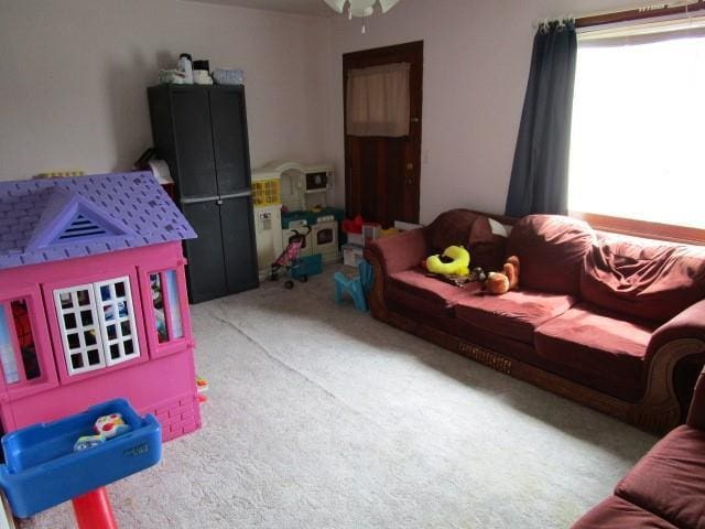 419 Corbett Ave, Ladysmith, WI 54848 - playroom with carpet flooring