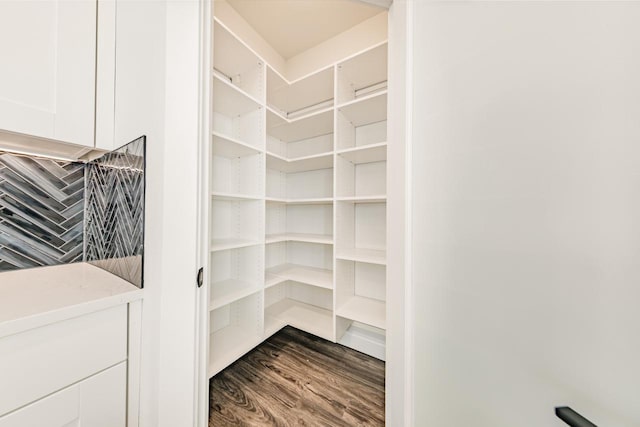 view of pantry