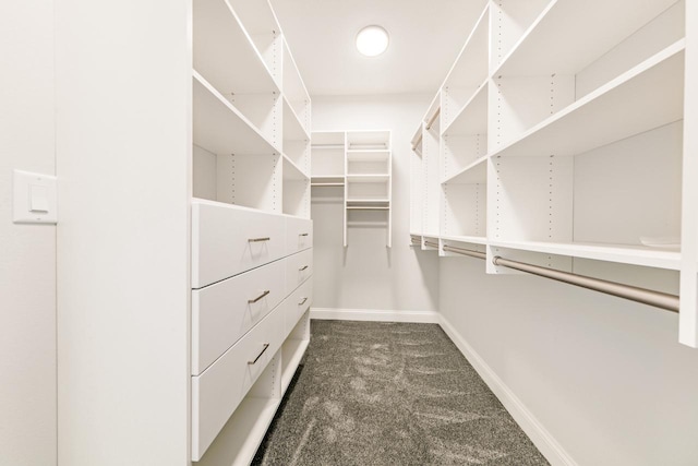 walk in closet with dark carpet