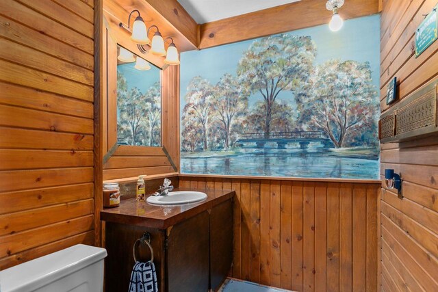 1096 Lakeshore Dr, Menasha, WI 54952 - half bath featuring toilet, vanity, and wooden walls