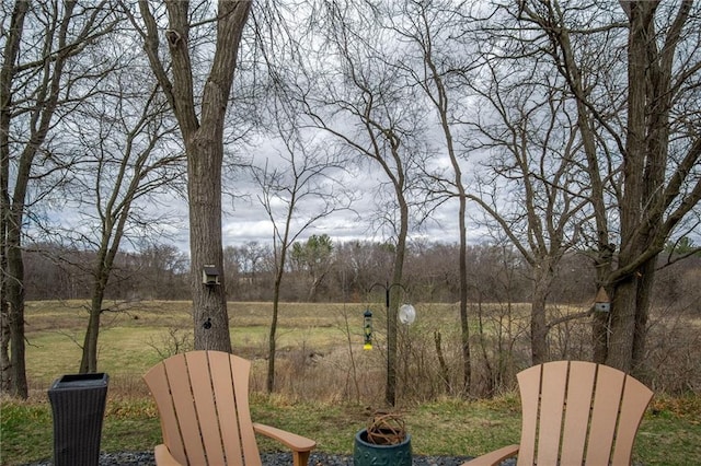 3426 Creek Ridge Dr, Eau Claire, WI 54703 - view of yard