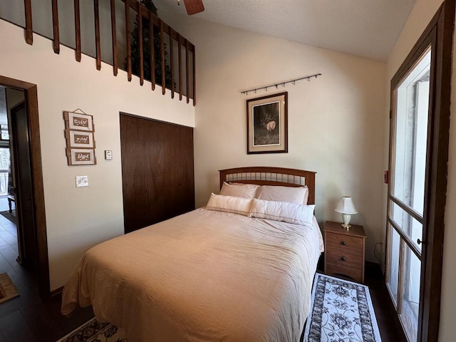 4 Hawthorn Trl, Wisconsin Dells, WI 53965 - bedroom with a closet, dark wood-type flooring, and lofted ceiling