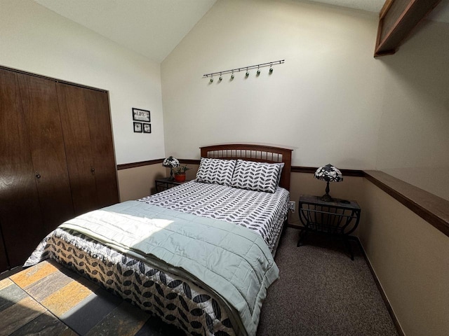 4 Hawthorn Trl, Wisconsin Dells, WI 53965 - carpeted bedroom featuring baseboards, a closet, and lofted ceiling