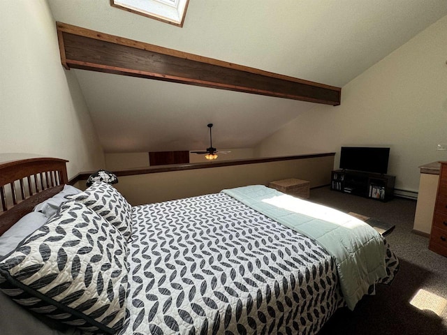 4 Hawthorn Trl, Wisconsin Dells, WI 53965 - carpeted bedroom with vaulted ceiling with skylight and a baseboard radiator