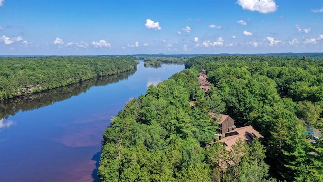 4 Hawthorn Trl, Wisconsin Dells, WI 53965 - bird's eye view featuring a view of trees and a water view