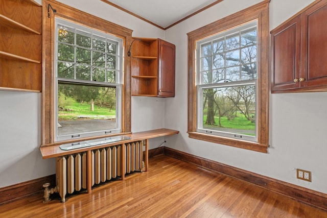 28094 E State Rd, Island Lake, IL 60042 - unfurnished office featuring radiator, light wood-style floors, a wealth of natural light, and ornamental molding