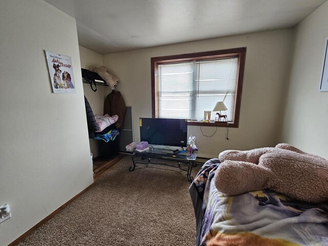 bedroom with baseboards and carpet