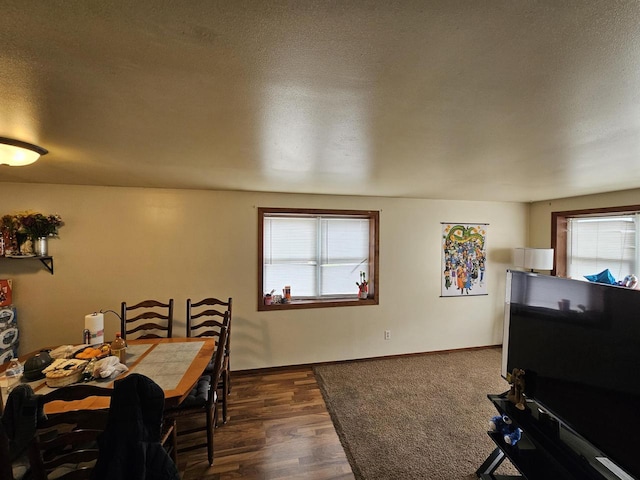dining room featuring dark wood finished floors, plenty of natural light, a textured ceiling, and baseboards