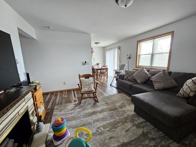 living area with wood finished floors and a fireplace