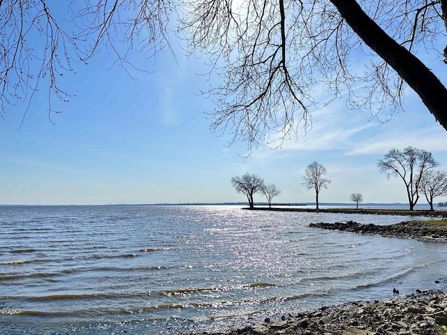 property view of water