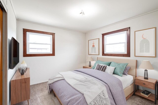 bedroom with crown molding, carpet, and multiple windows