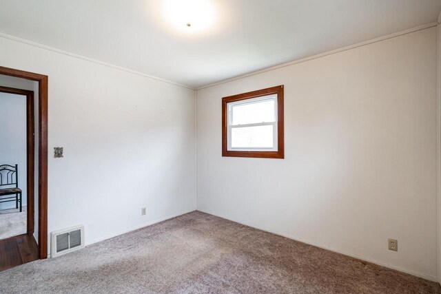 spare room with baseboards, visible vents, carpet flooring, and crown molding