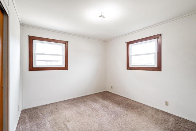 spare room with carpet flooring and baseboards