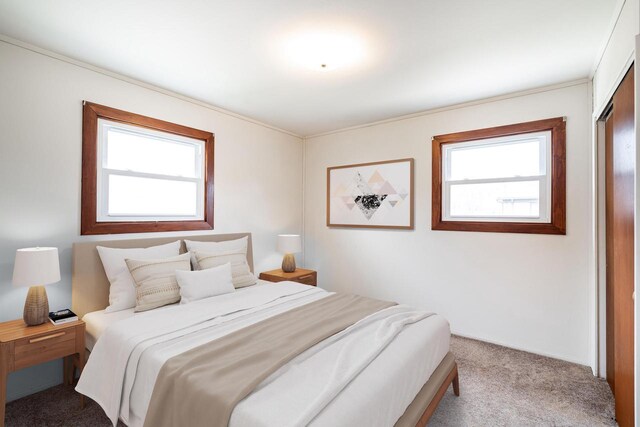 bedroom featuring ornamental molding, carpet flooring, and multiple windows