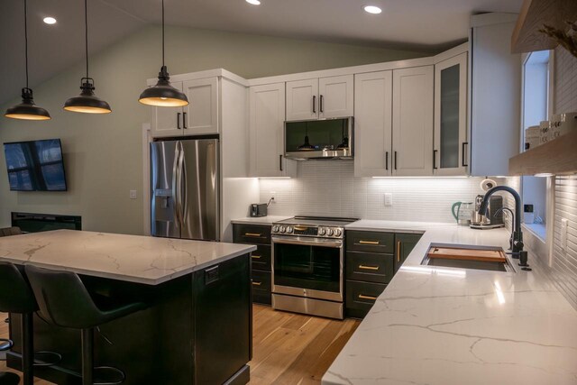 W3090 Yellow Banks Trl, Nekoosa, WI 54457 - kitchen featuring lofted ceiling, light wood finished floors, stainless steel appliances, and a sink