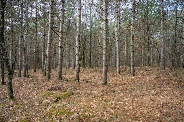 W3090 Yellow Banks Trl, Nekoosa, WI 54457 - view of nature with a wooded view