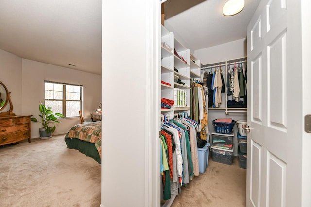 1300 N Prospect Ave Unit 120, Milwaukee, WI 53202 - walk in closet featuring carpet floors