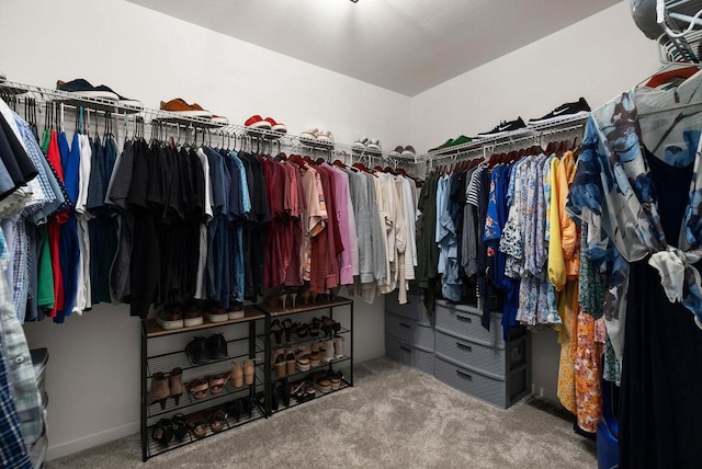 1677 Liatris Dr, Sun Prairie, WI 53590 - spacious closet with carpet