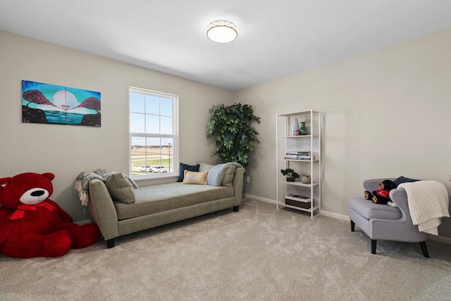 1677 Liatris Dr, Sun Prairie, WI 53590 - living area with baseboards and carpet