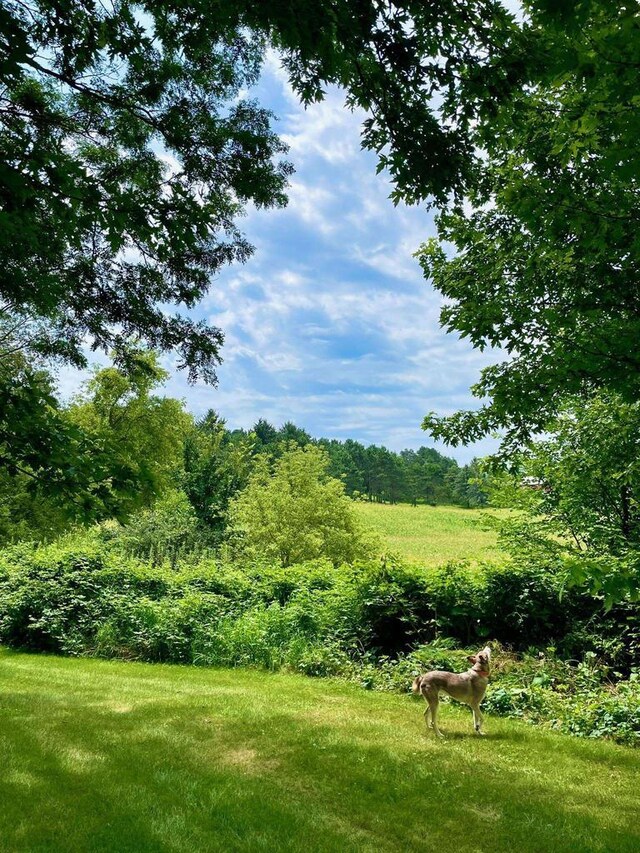 8226 Scott Rd, Cross Plains, WI 53528 - exterior space with a forest view