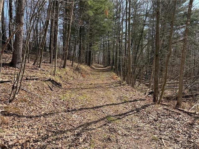 W3803 Church Rd, Sarona, WI 54870 - view of nature