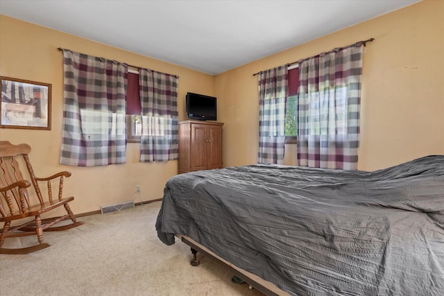 618 W Main St, Waterford, WI 53185 - bedroom featuring carpet and baseboards
