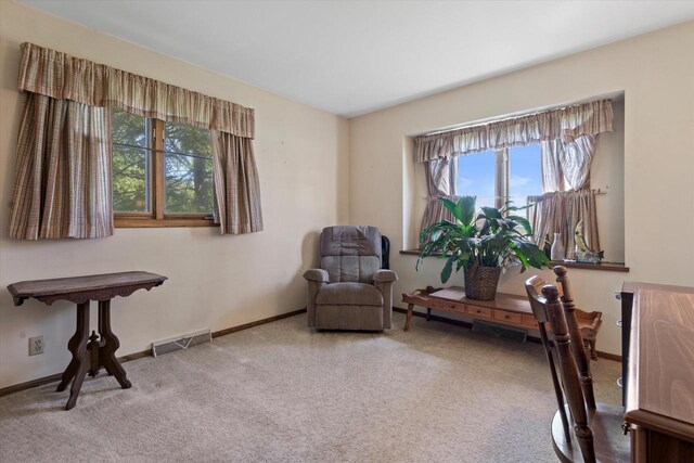 618 W Main St, Waterford, WI 53185 - living area featuring carpet floors and baseboards