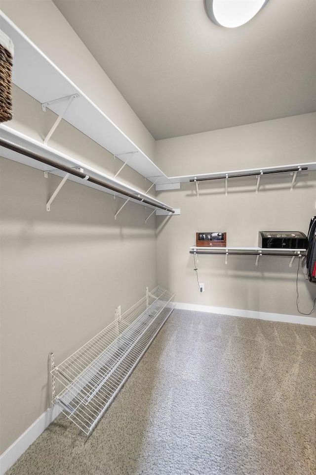 402 Burnt Sienna Dr, Middleton, WI 53562 - view of walk in closet