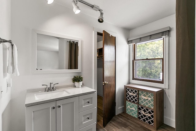 bathroom with vanity and wood finished floors