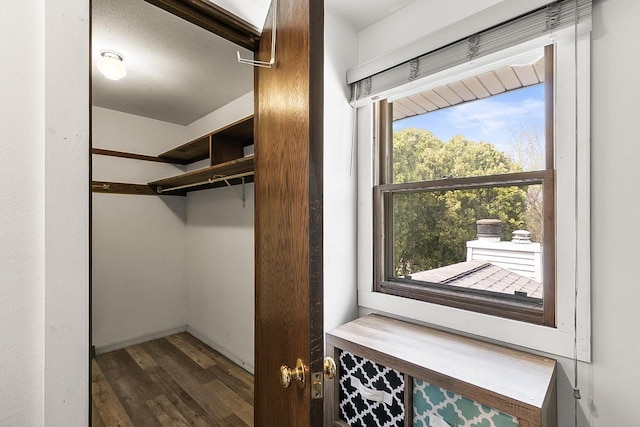 walk in closet featuring wood finished floors