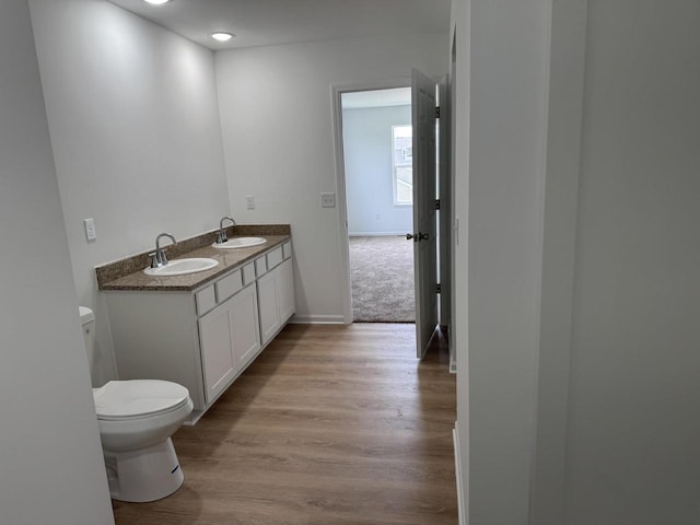 306 Filardo Ct, Mineral Point, WI 53565 - bathroom featuring double vanity, wood finished floors, toilet, and a sink