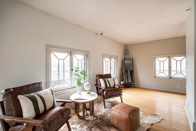living area featuring wood finished floors and plenty of natural light