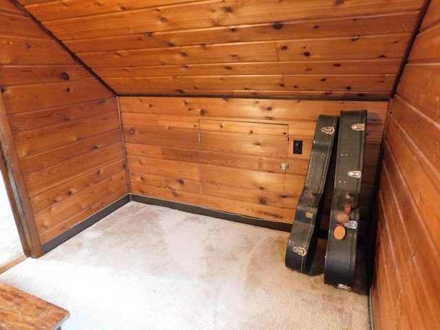 bonus room featuring wooden walls and carpet