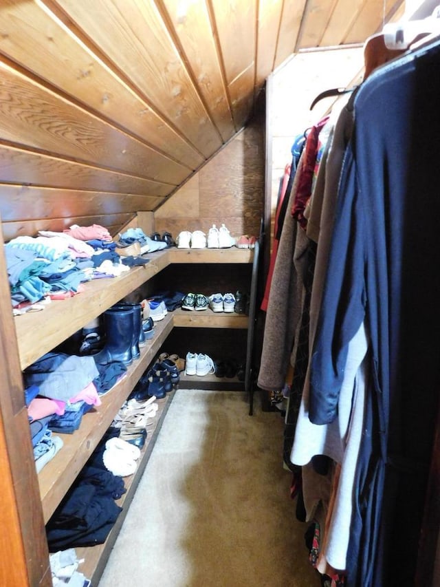 spacious closet with vaulted ceiling
