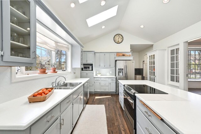 kitchen featuring dark wood-style flooring, a sink, stainless steel appliances, a healthy amount of sunlight, and lofted ceiling with skylight