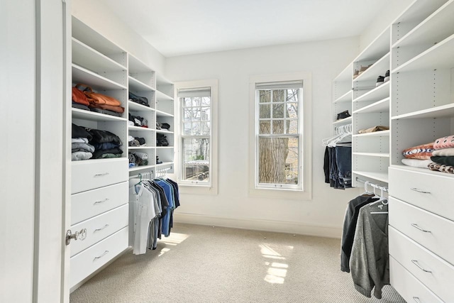 spacious closet featuring carpet