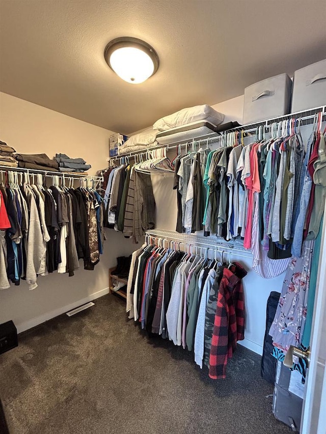 511 Madison St Unit 511, Sauk City, WI 53583 - walk in closet with carpet flooring