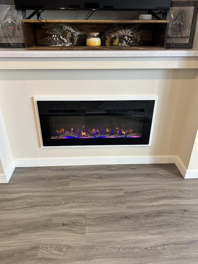 511 Madison St Unit 511, Sauk City, WI 53583 - details featuring a glass covered fireplace, wood finished floors, and baseboards