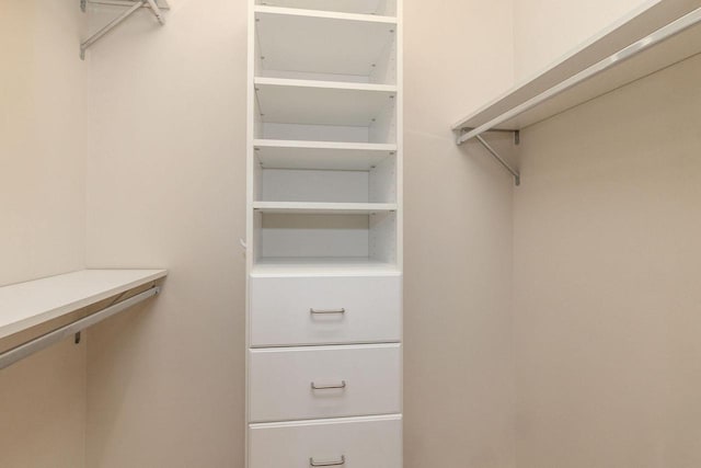 view of spacious closet