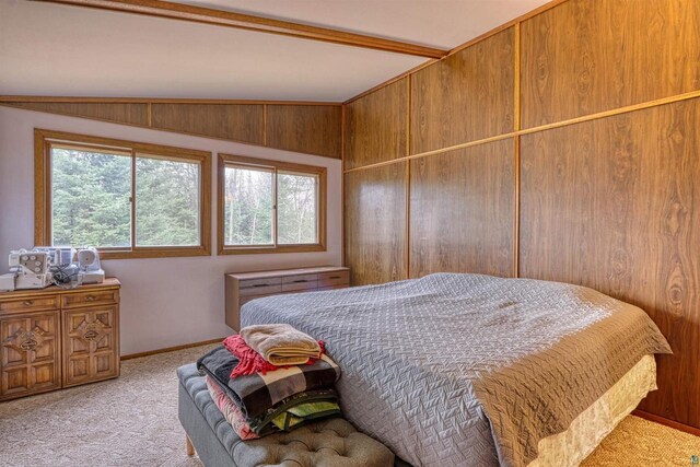 10749 N Namekagon Ln, Hayward, WI 54843 - bedroom with baseboards and carpet floors
