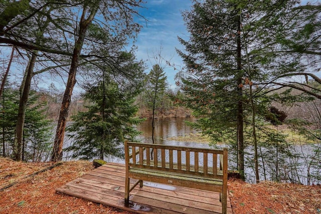 10749 N Namekagon Ln, Hayward, WI 54843 - view of community with a water view