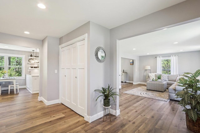 911 Fawn Ct, Wisconsin Dells, WI 53965 - foyer entrance with wood finished floors, healthy amount of natural light, baseboards, and recessed lighting