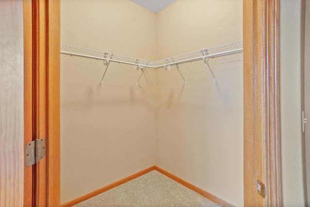 spacious closet with carpet