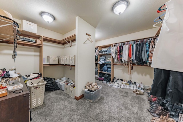 spacious closet with carpet